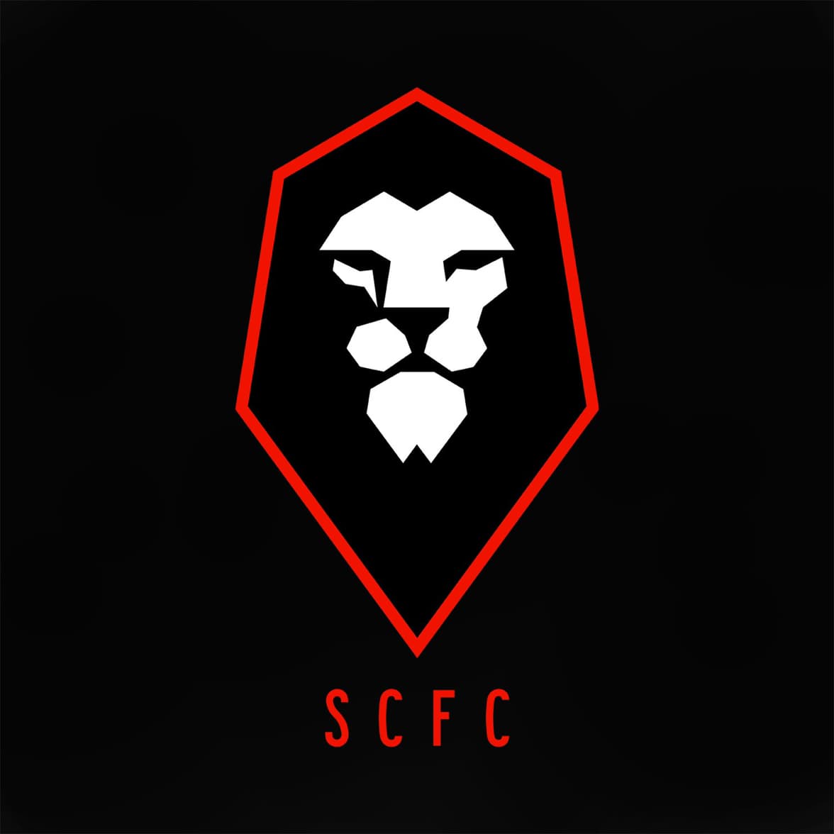 🚨🚨🚨🚨 Salford City é comprado por empresa brasileira e após negociações será totalmente reformulado. Todos os jogadores atuais terão s…