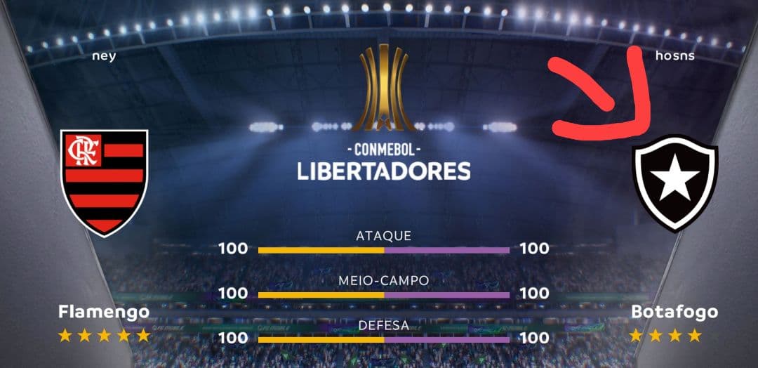 O Botafogo 2-1 ganha as quartas de Final contra o Flamengo