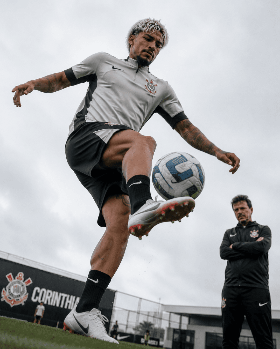 Treinamento de domínio, e de toca rápido!!