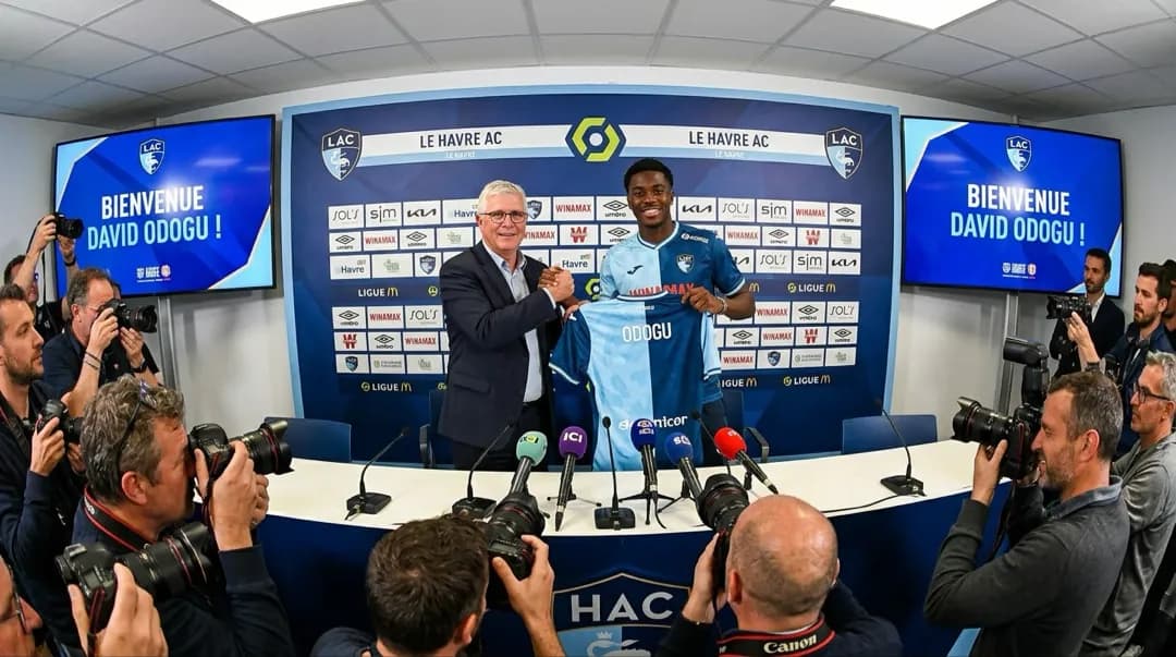 David Odogu chega por empréstimo de 1 ano ao time do Le Havre AC.