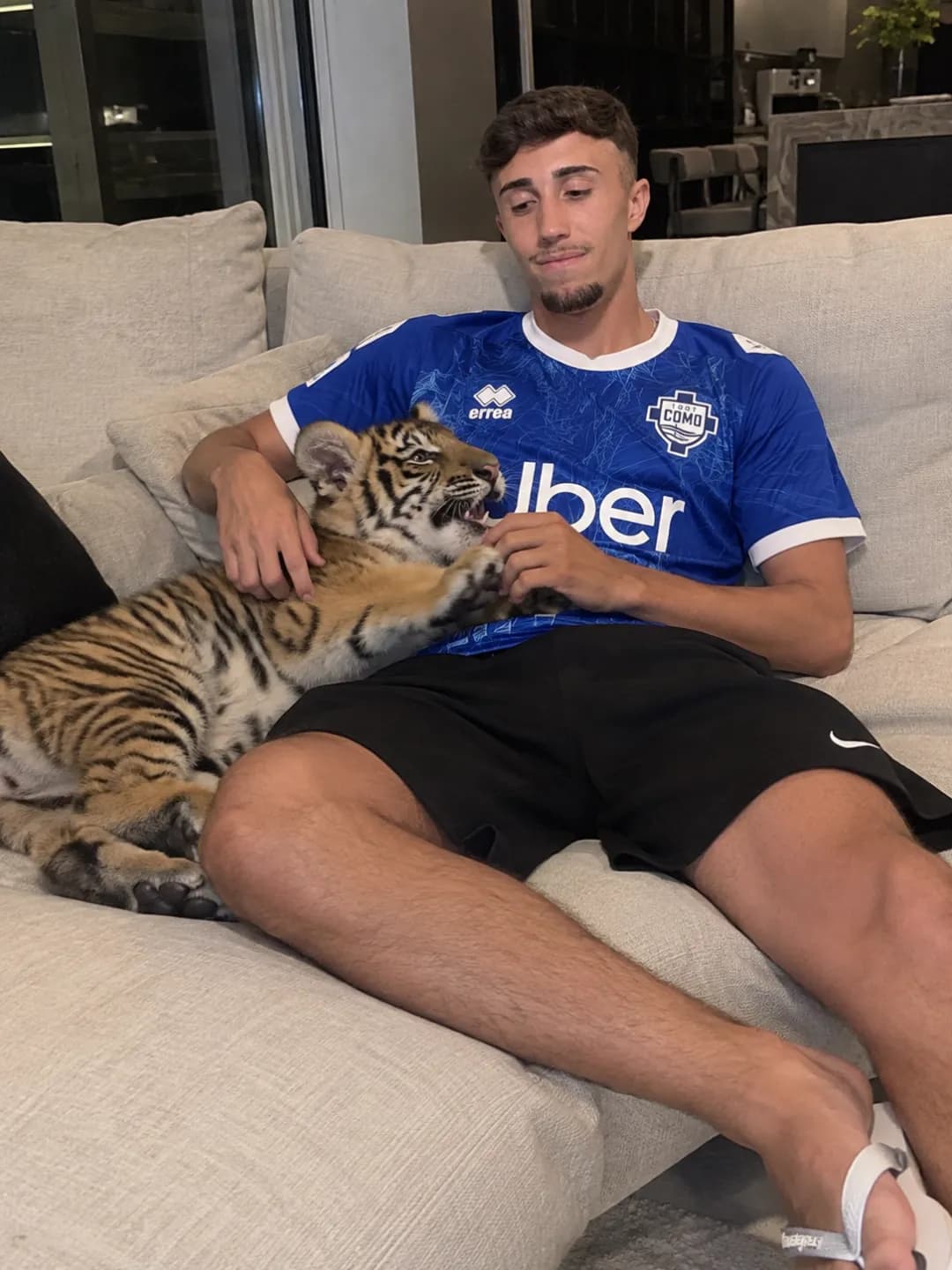 Meu filhote 🐅