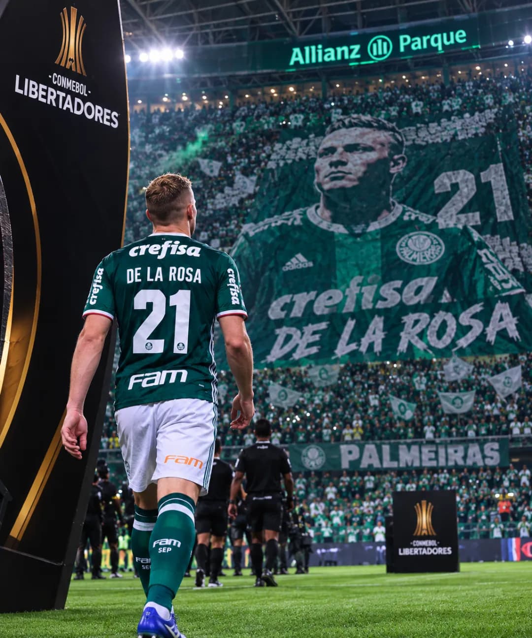 A LIBERTADORES É VERDE💚🤍❤️